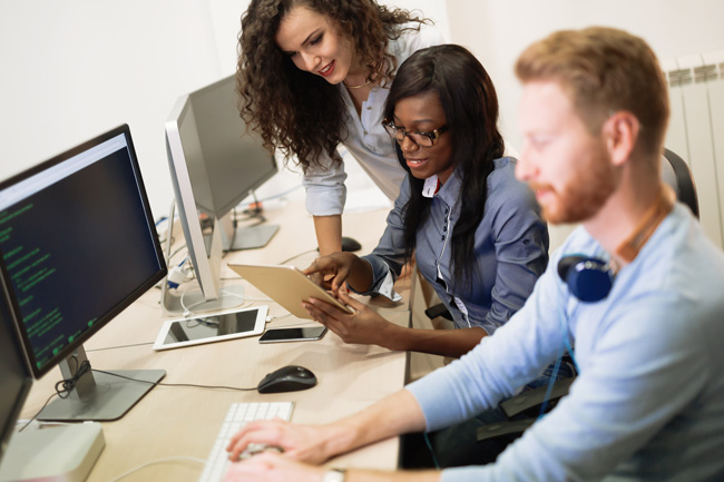 collaborating IT professionals whose employer uses fractional CFO services from Optima Office 